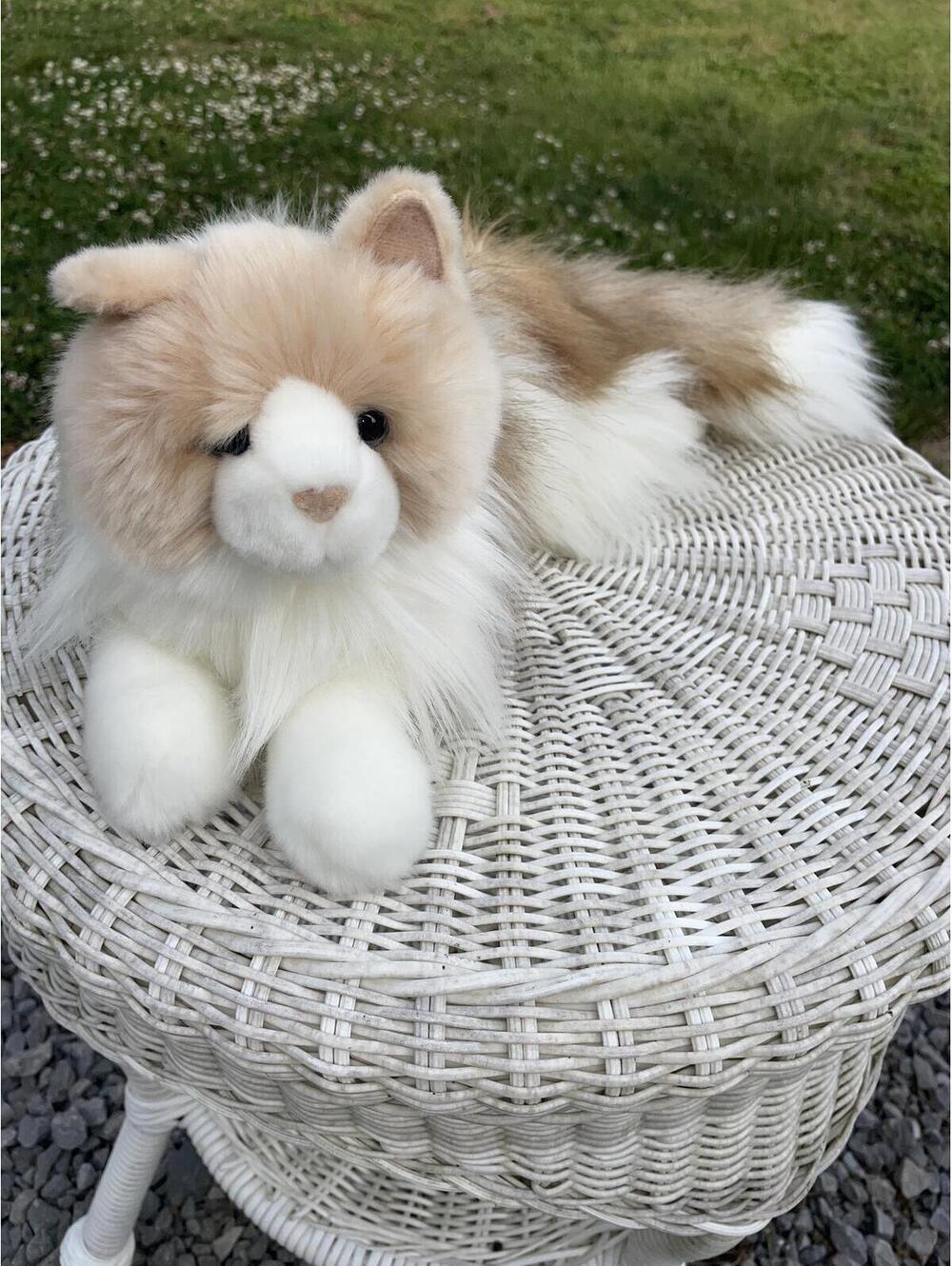Douglas Cuddle Toy Kiki Calico Cat 20” Long Hair Ragdoll Realistic Kitty Plush